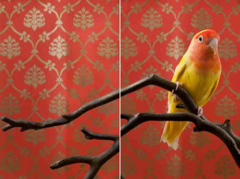 01d62c95-c34c-44fc-9f77-9f8d531332c2-1020x762