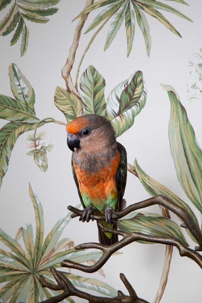 43752758-7b02-4c61-9afc-4d69e4014e08-680x1020